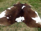 Dark Brown Chocolate   White Cowhide Rug Natural Cowhides Cow Hide Skin Black Bc