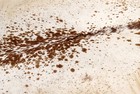 100  New Cowhide Rugs Area Cow Skin Leather  48 x 44   Cow Hide Sa-1030