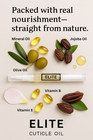 Cuticle Oil Pen With Jojoba Oil  Olive Oil  Mineral Oil  Vitamin E-b  Keratin