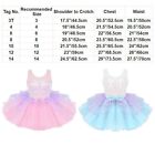 Ballet Dress Kids Girls Ballerina  Dancewear Sleeveless Mesh Dance Dress