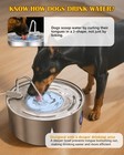 Best Dog Water Fountain For Large Dogs- 270oz 8l Stainless Steel Bowl Dispenser