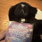Shining Stars Black Cat