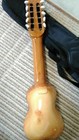 Bolivian Charango - High Quality South American Instrument - Unique Find