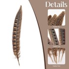 5pcs Pheasant Feather 6-8inch 15-20cm Natural Male Ringneck Tails Feathers Fo   
