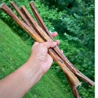 Bully Sticks 12  100  Natural Beef Bully Sticks Dog Chews   Treats Usa Sourced