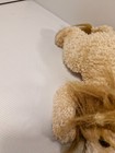 Kookeys Plush Lion Cuddly Soft Toy Plush 28cm