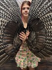 Pair Wild Turkey Wings Feathers Plume Fan Bustle Fly Tying Craft Art Mount Hat