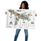 Falcon 900lx Cutaway Poster 24 In X 36 In