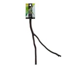 Multi-branch Manzanita Perch Large Natural Wood Bird Perch  Natural Parrot Perch