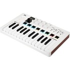 Arturia Minilab 3 Hybrid Midi Keyboard Controller Bundle W  Cable   Cloth