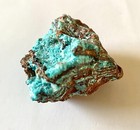 Aurichalcite Crystal Clusters Throughout Limonite Matrix  Blue-green  Mexico