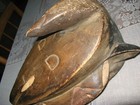 Amazing Horned Antique African Solid Wood Carved Tribal Mask 14  Tall