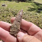 2 3 8    Standlee Arrowhead  Ne Oklahoma  Authentic Pre 1600 