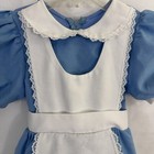 Disney Parks Alice In Wonderland Vintage Dress Costume Size Small 4 5 Girls