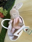 Jellycat Rock A Bye Bunny With Bunny Plush Pink Stuffed Animal Baby Rabbit Nwt