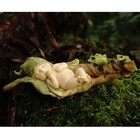 Miniature Fairy Garden And Terrarium Statue  Sleeping Fairy Baby With Frogs