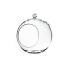 Wgv Hanging Terrarium Globe Width 8  Height 9  Diy Air Succulent Planter Clear G