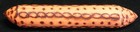 Australian Aboriginal Tribal Pyrography Burnt Incised Wood Clap Stick