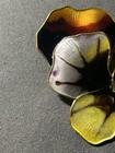 David Andersen Vintage Sterling Silver Large Enamel Pansy Brooch