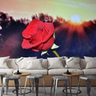 3d Sunlight Red Rose G8669 Wallpaper Wall Murals Removable Self-adhesive Honey