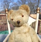 Antique Mohair Teddy Bear - 12   Knickerbocker  Metal Nose
