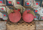 Primitive Red Apple Rustic Farmhouse Decor Painted Fabric - Aafa - Artisan Made