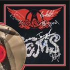 Aerosmith Custom Etched Reproduction Signed Lp Record Display