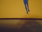 Rare Promo Flaming Lips Poster Soft Bulletin 1999 Psych Rock Mercury Rev Race  