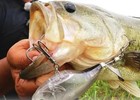 Ryugi Pierce Tc Quad Swivel Eye Hook Japan Fishing Hook Choose Size