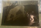 Antique Photograph Negative Great Dane Dog Eating 