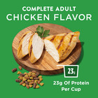 Purina Dog Chow Complete Adult Real Chicken Flavor Dry Dog Food  44 Lb Bag