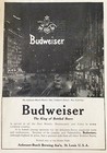 1906 Budweiser Beer Print Ad old Electric Sign Longacre times square Nyc Photo 