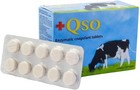 Vegetable Rennet Tablets - Strip Of 10 