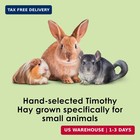Kaytee Timothy Hay  High Fiber For Rabbits  Guinea Pigs  12 Pounds