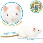 Wylie The White Rat   7 Inch Stuffed Animal Plush   By Tigerhart Toys