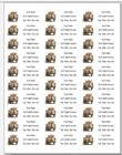 150 Kittens On Bench Cats Mailing Return Address Labels Personalized  1 X 2 5 8