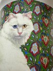 Vintage 1987 White Fluffy Cat With Heterochromia Blue   Yellow Eyes Coffee Mug