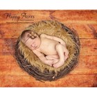 New Caramel Mongolian Faux Fur And Wood Branch Nest Photography Prop