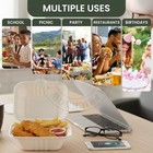 Disposable Clamshell Compostable Paper Takeout Boxes-6 8 9 - 75 150 Pcs - Fpn