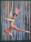 Vintage 1968 Ice Capades Souvenir Program 29th Edition