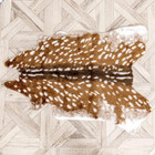     New- Cowhide Rug Animal Print Deer Hide Carpet Area Rug 3 6x3ft For Home