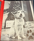 1980 s Annie The Broadway Musical Theater Program