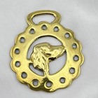 Brass Horse Medallion Vintage English Retriever Spaniel Pup Dog Hunt Harness