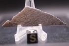 Richland  Meteorite  Iron Etched  Slice   Weight 10 8 Grams  Iiab  Very Rare 