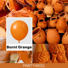 Burnt Orange Balloons 152pcs Terracotta Fall Color Different Sizes
