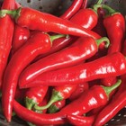 Cayenne Large Red Thick Pepper Seeds  Non-gmo  Variety Sizes Sold  Free Ship