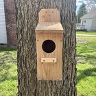 Large Cedar Owl Nesting Box House Screech Saw Whet Owl With Preditor Guard
