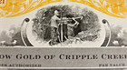 Yellow Gold Of Cripple Creek Inc- Stock Certificate-400 Shares- 1981