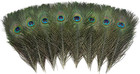12 Pcs Real Natural Peacock Eye Feathers 10-12 Inch For Diy Craft Wedding Decors