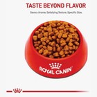 Royal Canin Breed Health Nutrition Yorkshire Terrier Adult Dry Dog Food  10 Lbs 